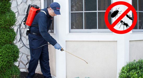 Üsküdar Akrep İlaçlama böcek ilaçlama ve haşere kontrolü — ilaclama-tr.com